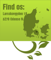 Find os - Stesi