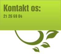 Kontakt os - Stesi